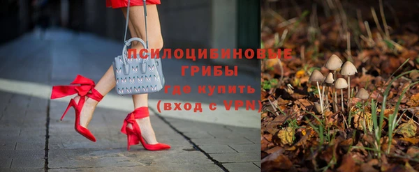 соль ск Осинники