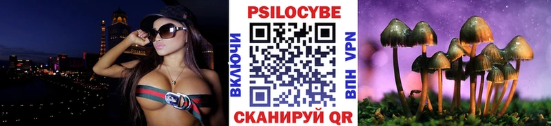 Галлюциногенные грибы MAGIC MUSHROOMS  гидра   Арск  где купить наркоту 